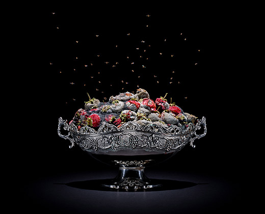 Klaus Pichler's quite beautiful gallery of rotten food from around the globe