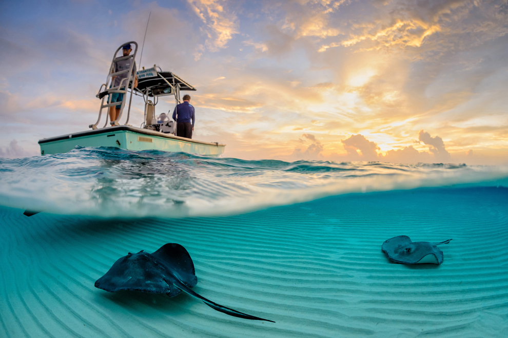 Stingray Sandbar, Grand Cayman. (Thomas Pepper/National Geographic Traveler Photo Contest)